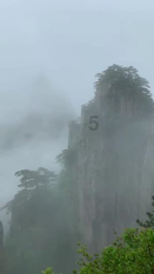 逗小猴开心系列197