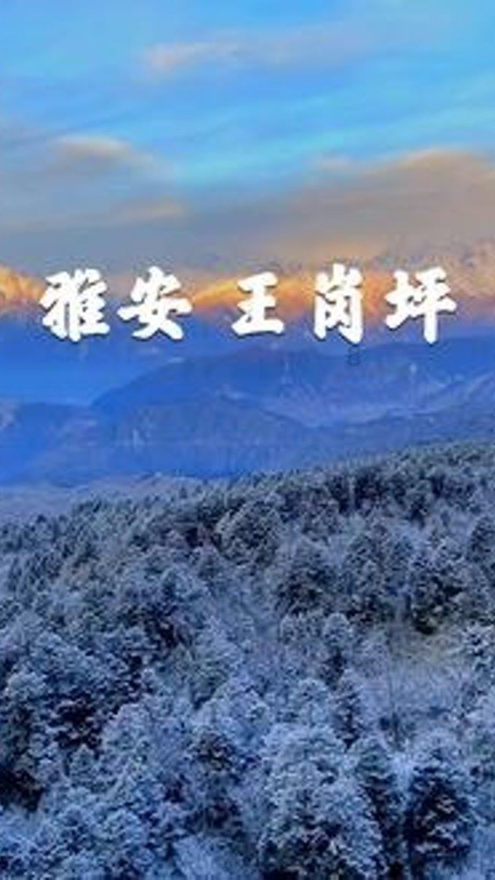 杀人犯刘学保,冒充英雄18年还被写进课本,水落石出后被判无期