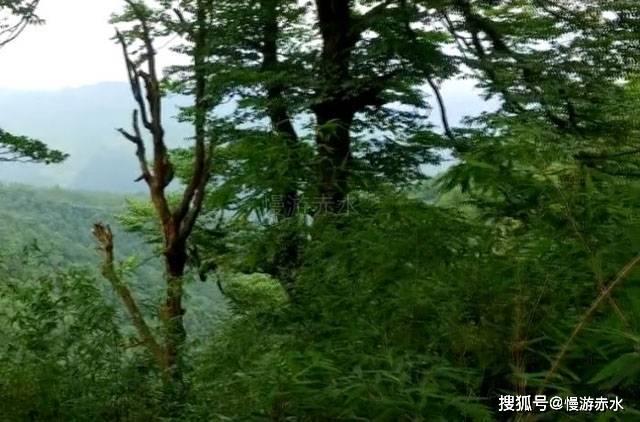 新手做卫生纸加工行业,怎么才能买到好的设备?