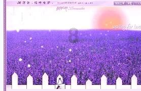 甜蜜的美好回忆