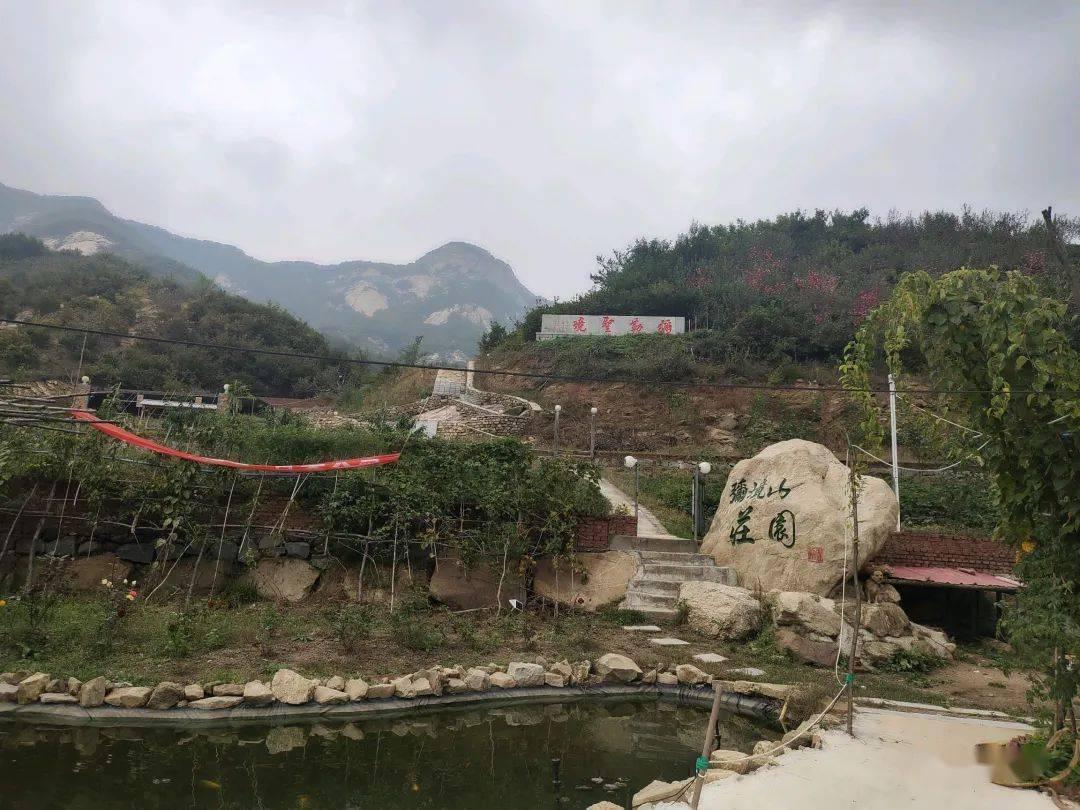 2023年福建各城市汽车销量榜,福州销量第一,厦门新能源第一