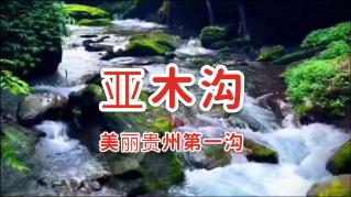 湖北赤壁护林员覃修良:四十载守护青山绿水
