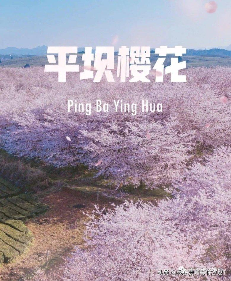富尔茨:虽然缓慢但可以肯定的是 我每场比赛都在进步&找到节奏