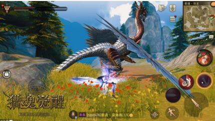 亚麻籽油是调和油吗?-共享知识星球,学习更高效!