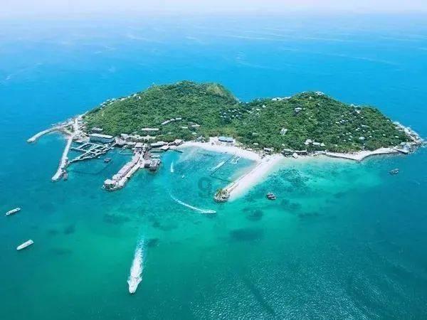 倪海厦是江湖骗子还是世间奇人?