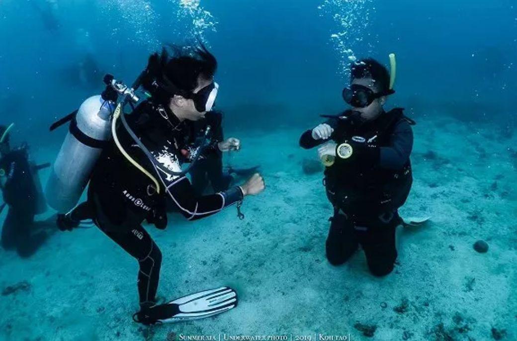 海盗的荣誉