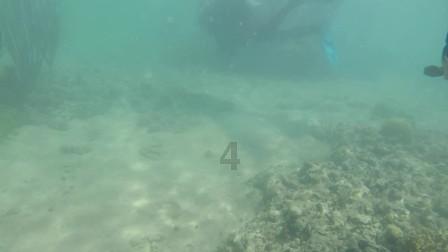 上海游客来沈阳旅游早市被“骗”,管理员知道后霸气为游客撑腰