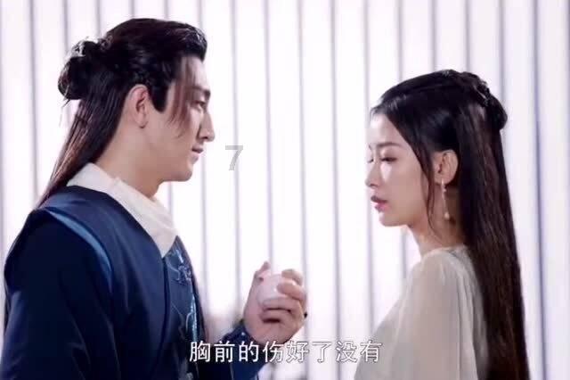 五彩鹦鹉救援