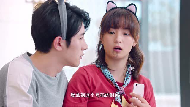 分布式发电调研分析:预计2029年将达979亿美元