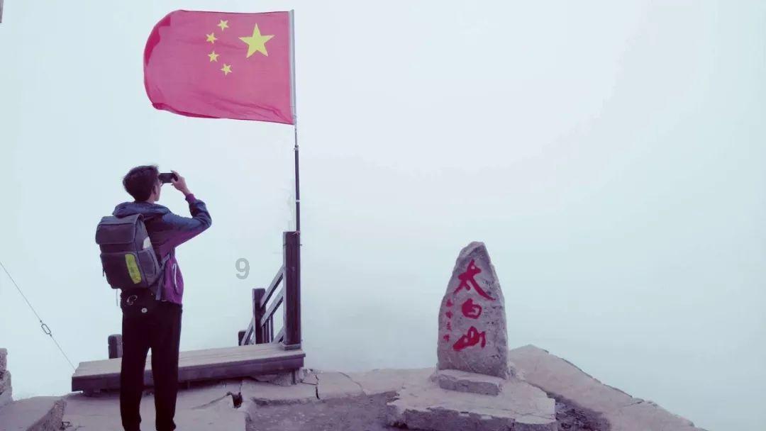 小金毛傻乎乎跟主人走丢,女孩再次看见狗狗后气愤不已