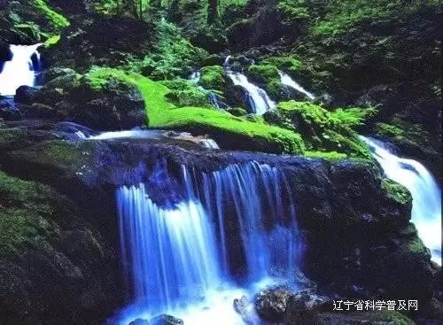 修正药业跨界做酒,洽购茅台镇酒企,是不是更能说明医药行业竞争加剧?红迪网-分享与交流社区