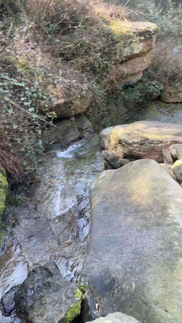 全市场:后防缺人,维罗纳可能同时租借佩莱格里诺和库姆布拉