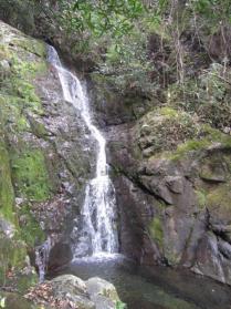 铁路迎来节前售票高峰：累计发售春运车票6108万张，增近1.6倍