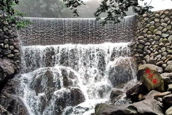 科学种竹 群众生活水平“节节高”